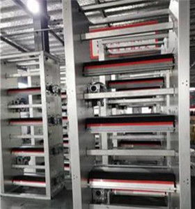 攜手創新，智贏未來 自動化蛋雞養殖設備技術咨詢與生產合作指南